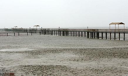 《超级猴子球 香蕉大乱斗》将与Dole进行联动 香蕉将变身为 Dole 联动活动专属样式！